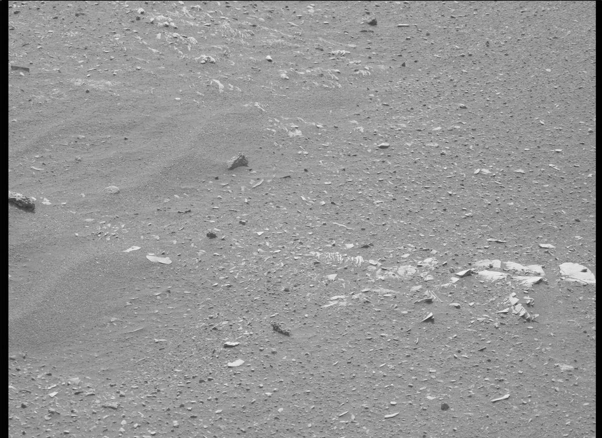 This image was taken by MCZ_LEFT onboard NASA's Mars rover Perseverance on Sol 449