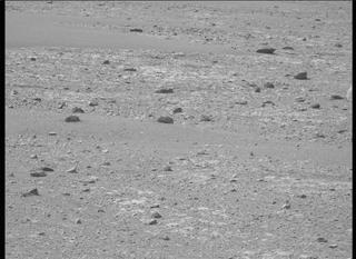 View image taken on Mars, Mars Perseverance Sol 449: Left Mastcam-Z Camera