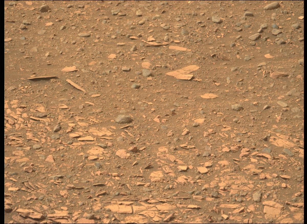 This image was taken by MCZ_LEFT onboard NASA's Mars rover Perseverance on Sol 449