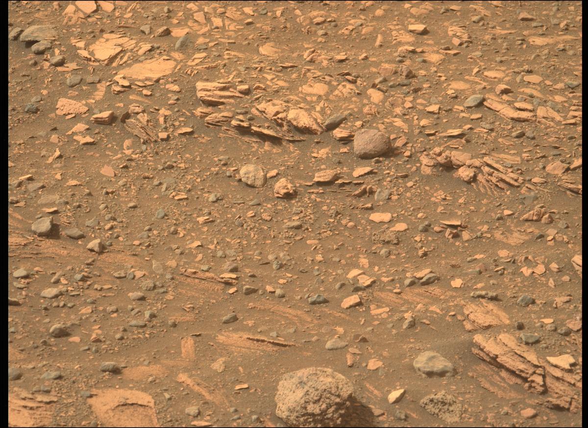 This image was taken by MCZ_LEFT onboard NASA's Mars rover Perseverance on Sol 449