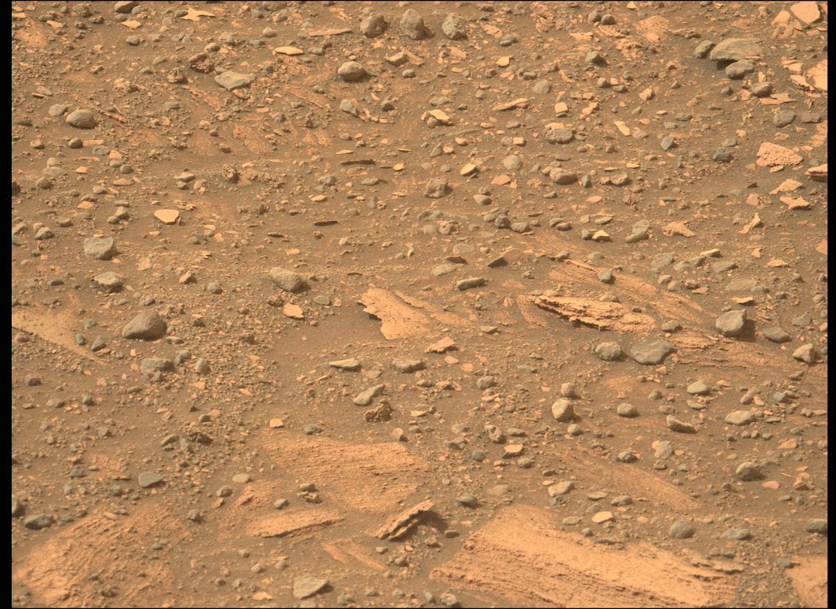 This image was taken by MCZ_LEFT onboard NASA's Mars rover Perseverance on Sol 449
