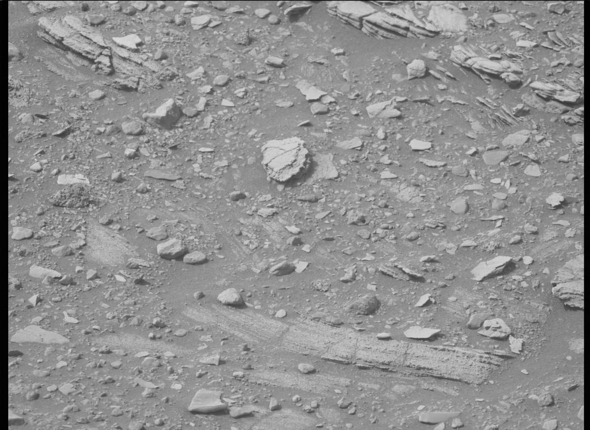 This image was taken by MCZ_LEFT onboard NASA's Mars rover Perseverance on Sol 449