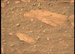View image taken on Mars, Mars Perseverance Sol 449: Left Mastcam-Z Camera
