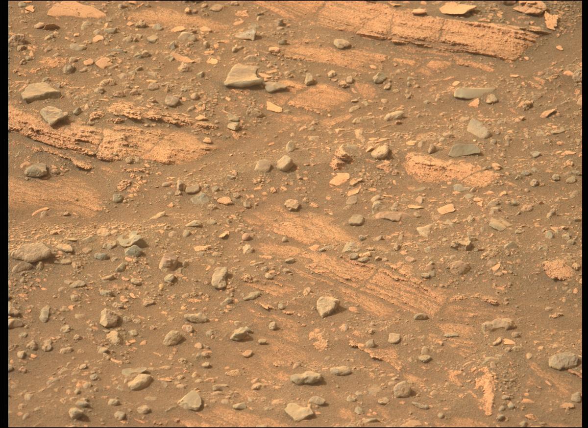 This image was taken by MCZ_LEFT onboard NASA's Mars rover Perseverance on Sol 449