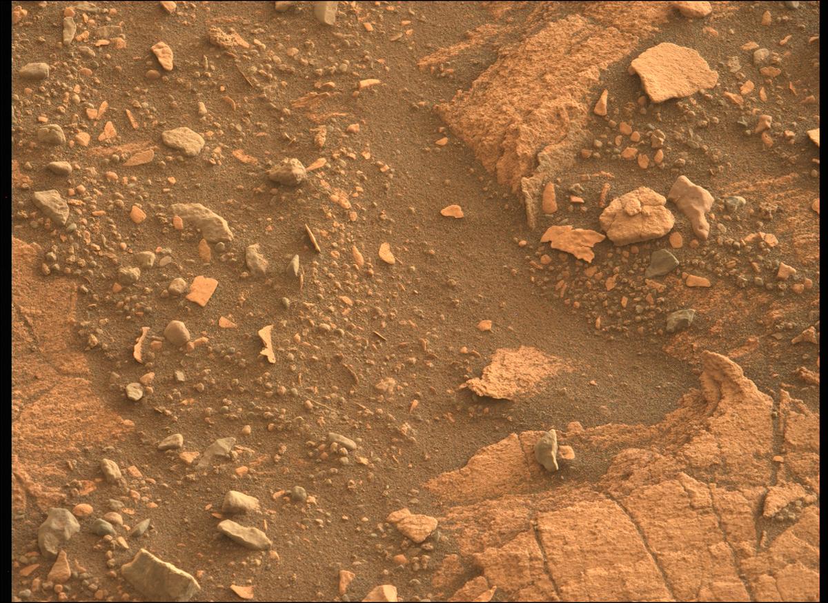 This image was taken by MCZ_LEFT onboard NASA's Mars rover Perseverance on Sol 449