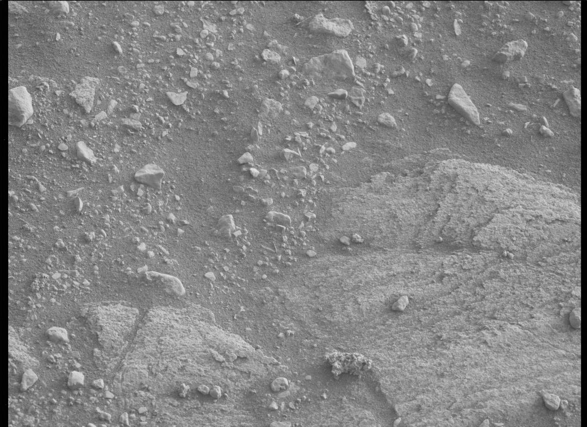 This image was taken by MCZ_LEFT onboard NASA's Mars rover Perseverance on Sol 449