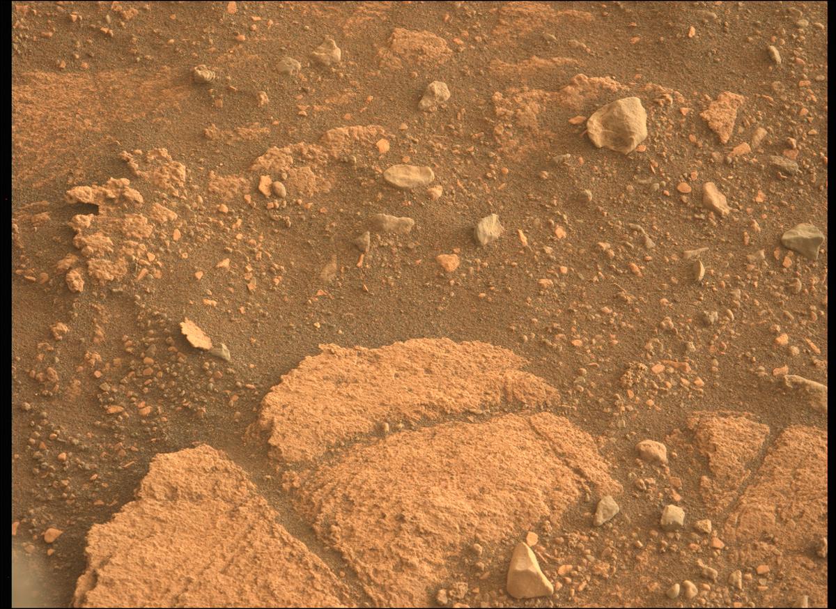 This image was taken by MCZ_LEFT onboard NASA's Mars rover Perseverance on Sol 449