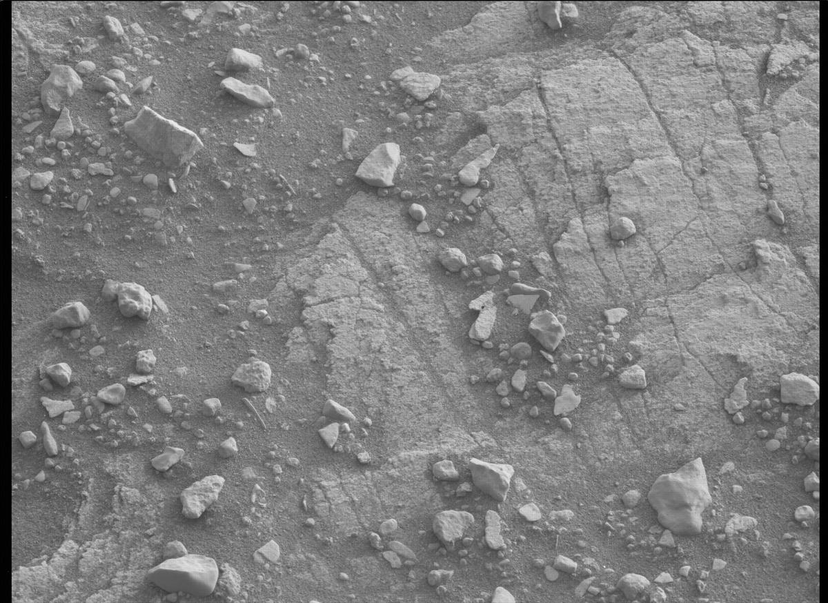 This image was taken by MCZ_LEFT onboard NASA's Mars rover Perseverance on Sol 449