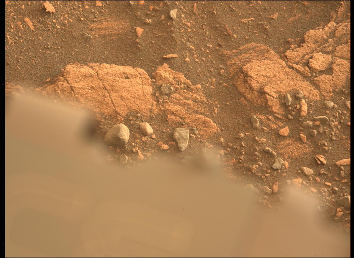 This image was taken by MCZ_LEFT onboard NASA's Mars rover Perseverance on Sol 449