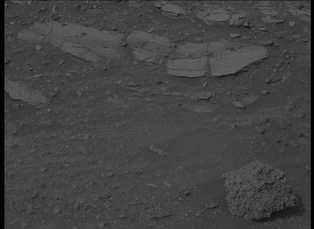This image was taken by MCZ_LEFT onboard NASA's Mars rover Perseverance on Sol 449