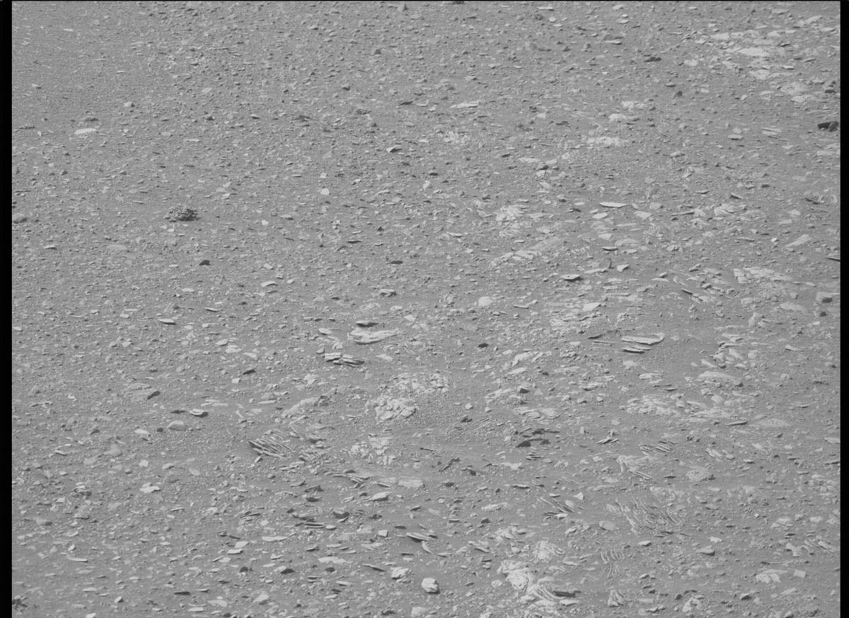 This image was taken by MCZ_RIGHT onboard NASA's Mars rover Perseverance on Sol 449