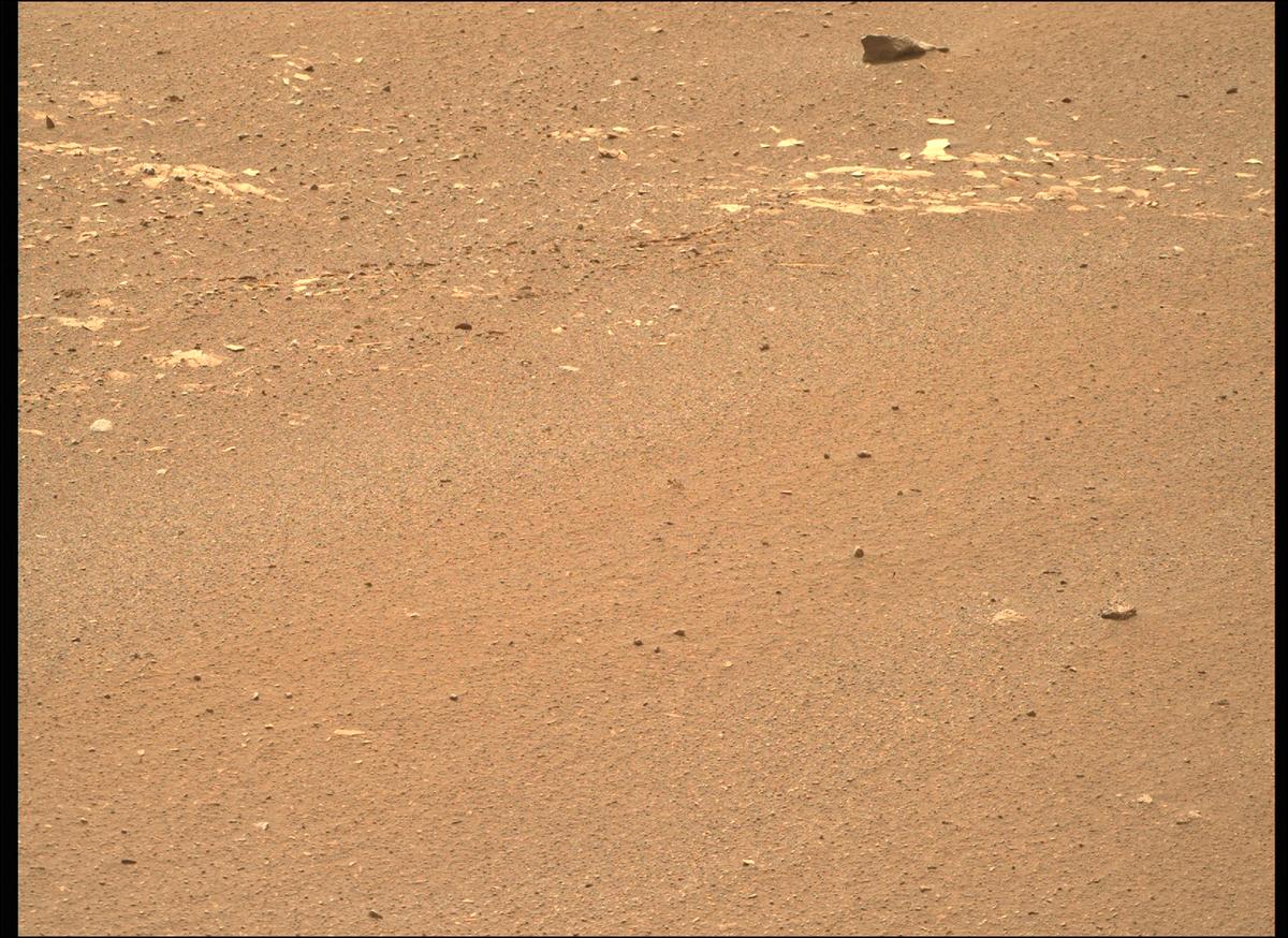 This image was taken by MCZ_RIGHT onboard NASA's Mars rover Perseverance on Sol 449