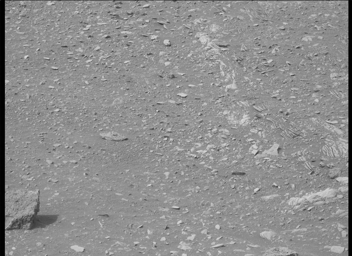 This image was taken by MCZ_RIGHT onboard NASA's Mars rover Perseverance on Sol 449