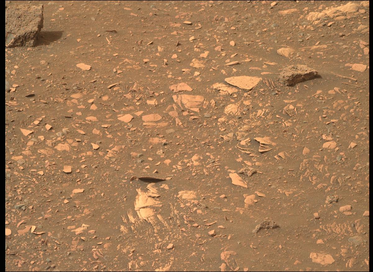 This image was taken by MCZ_RIGHT onboard NASA's Mars rover Perseverance on Sol 449
