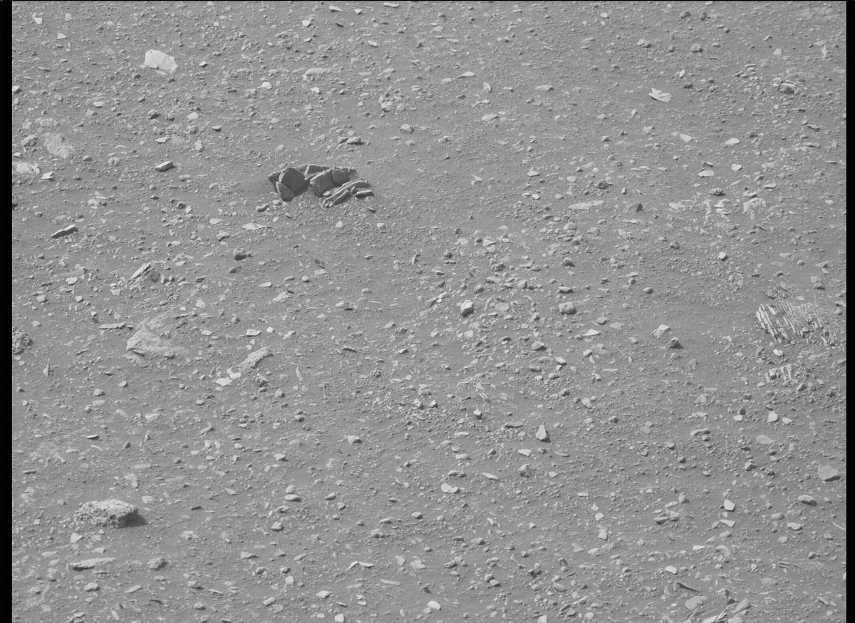 This image was taken by MCZ_RIGHT onboard NASA's Mars rover Perseverance on Sol 449