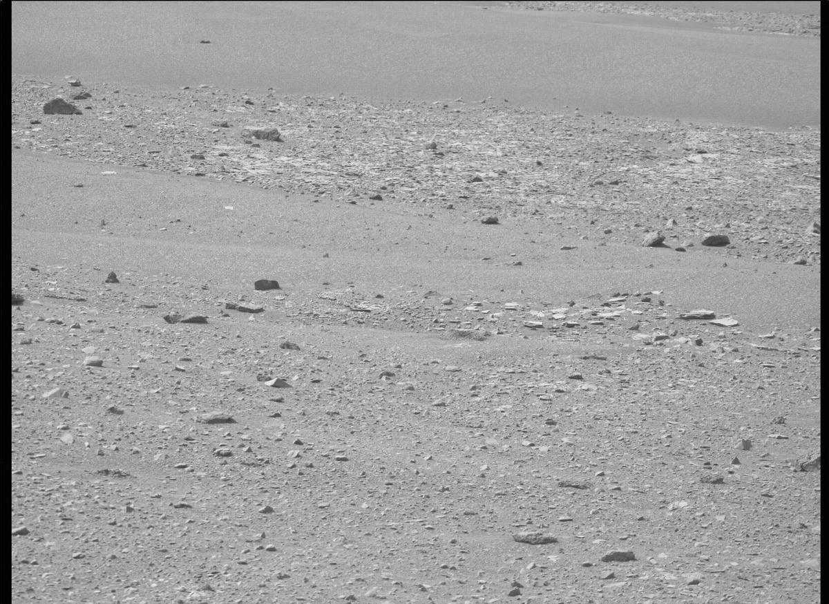 This image was taken by MCZ_RIGHT onboard NASA's Mars rover Perseverance on Sol 449
