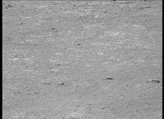 View image taken on Mars, Mars Perseverance Sol 449: Right Mastcam-Z Camera