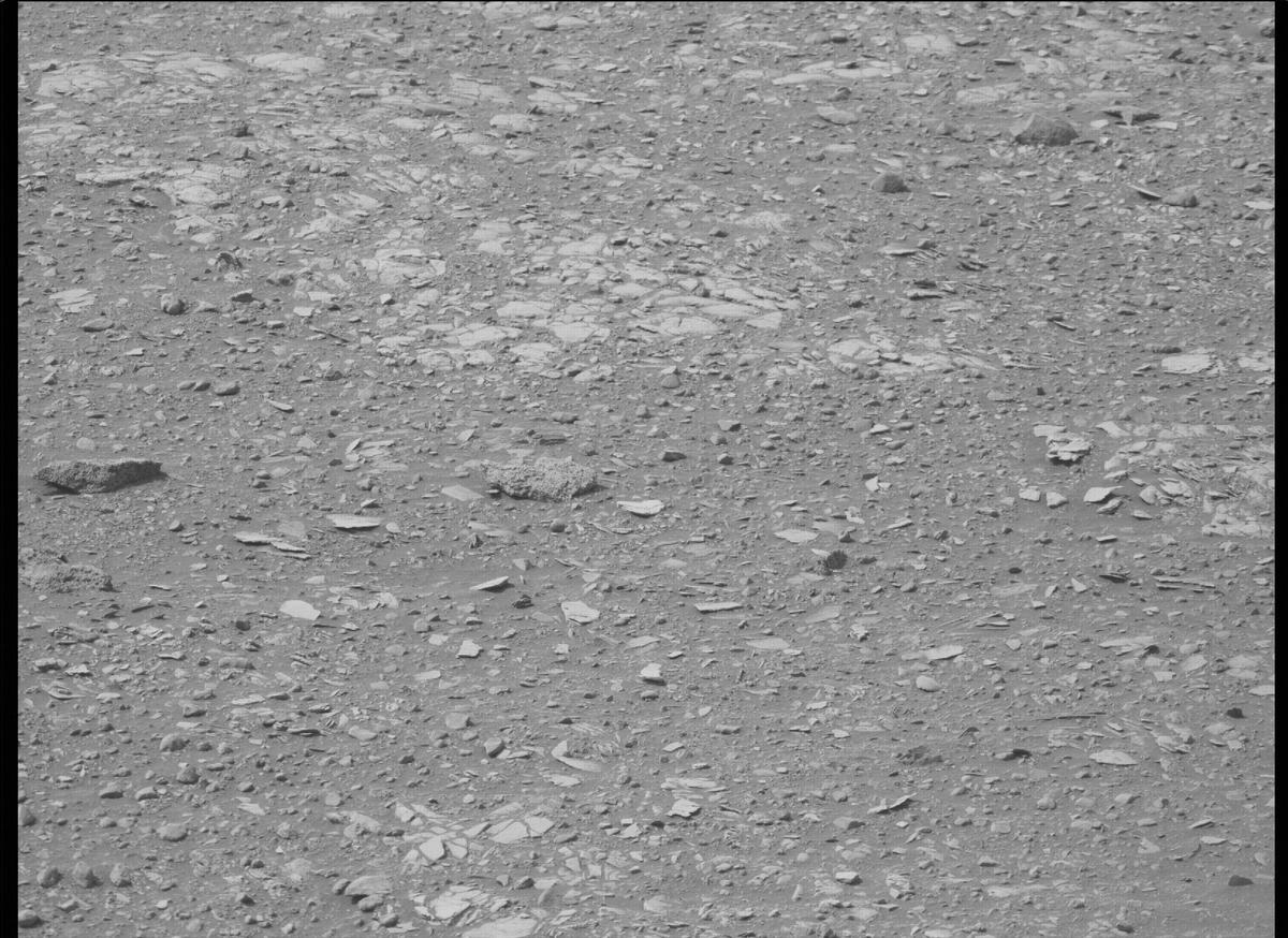 This image was taken by MCZ_RIGHT onboard NASA's Mars rover Perseverance on Sol 449
