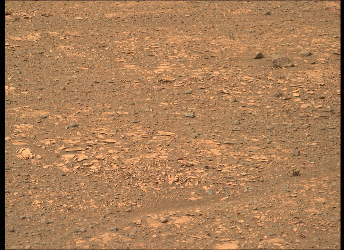 This image was taken by MCZ_RIGHT onboard NASA's Mars rover Perseverance on Sol 449