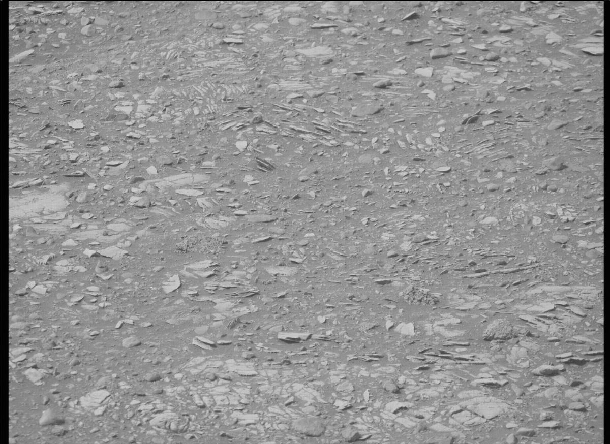 This image was taken by MCZ_RIGHT onboard NASA's Mars rover Perseverance on Sol 449