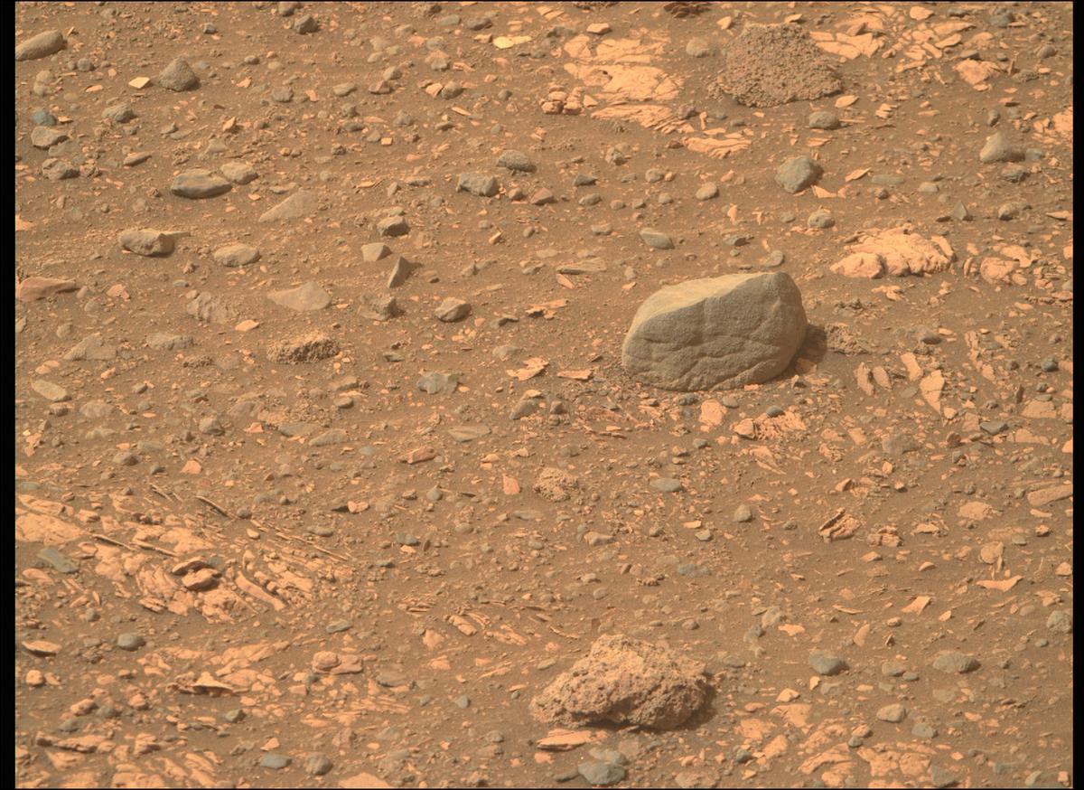 This image was taken by MCZ_RIGHT onboard NASA's Mars rover Perseverance on Sol 449