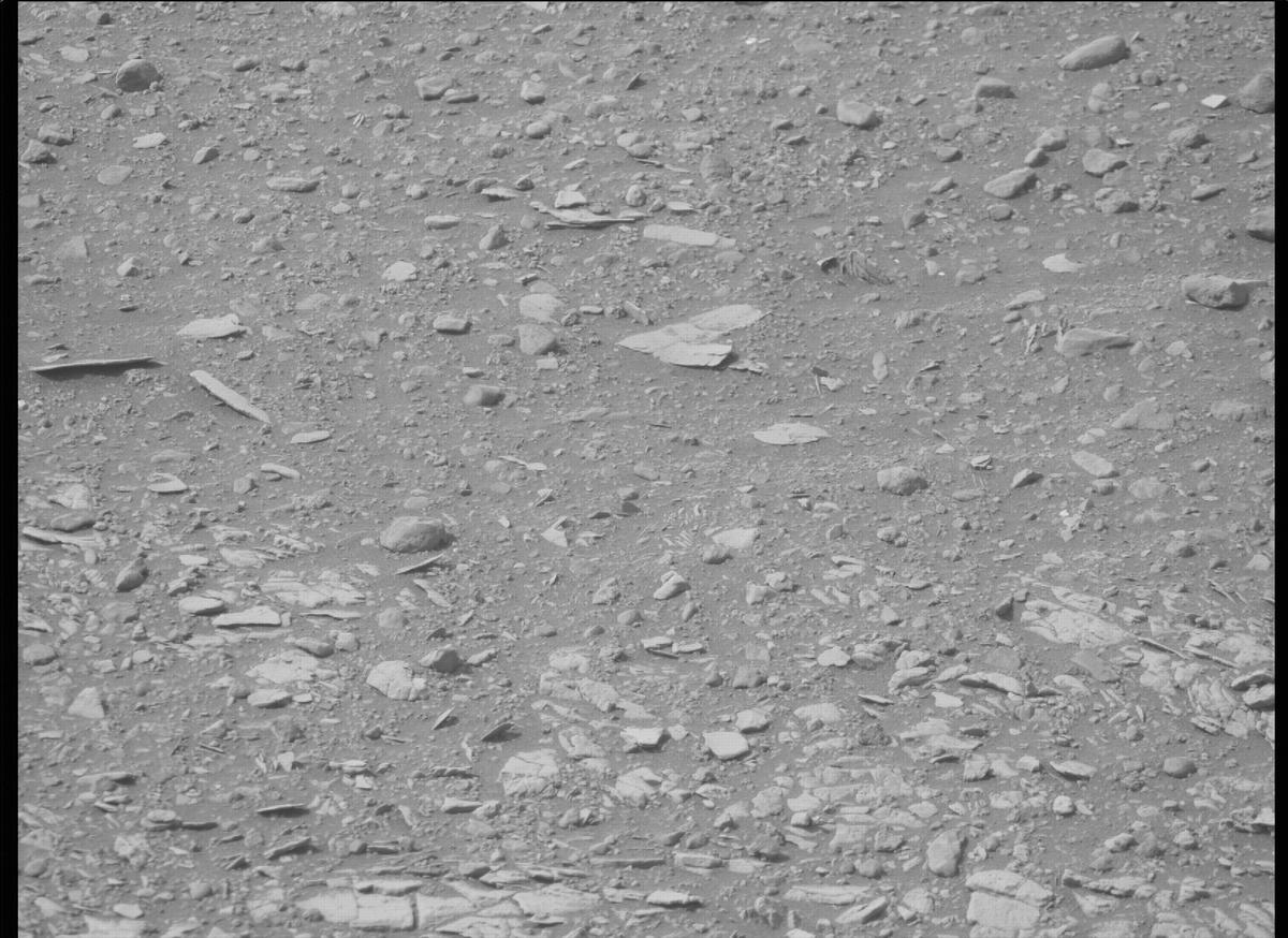This image was taken by MCZ_RIGHT onboard NASA's Mars rover Perseverance on Sol 449