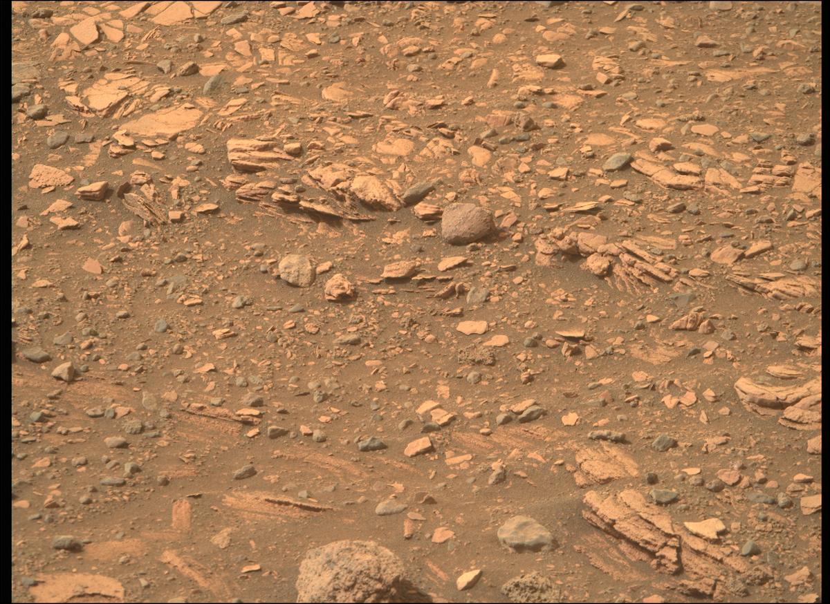 This image was taken by MCZ_RIGHT onboard NASA's Mars rover Perseverance on Sol 449
