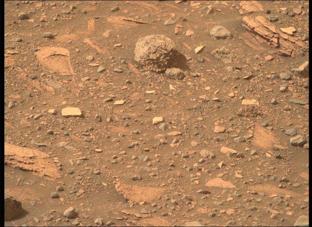 This image was taken by MCZ_RIGHT onboard NASA's Mars rover Perseverance on Sol 449