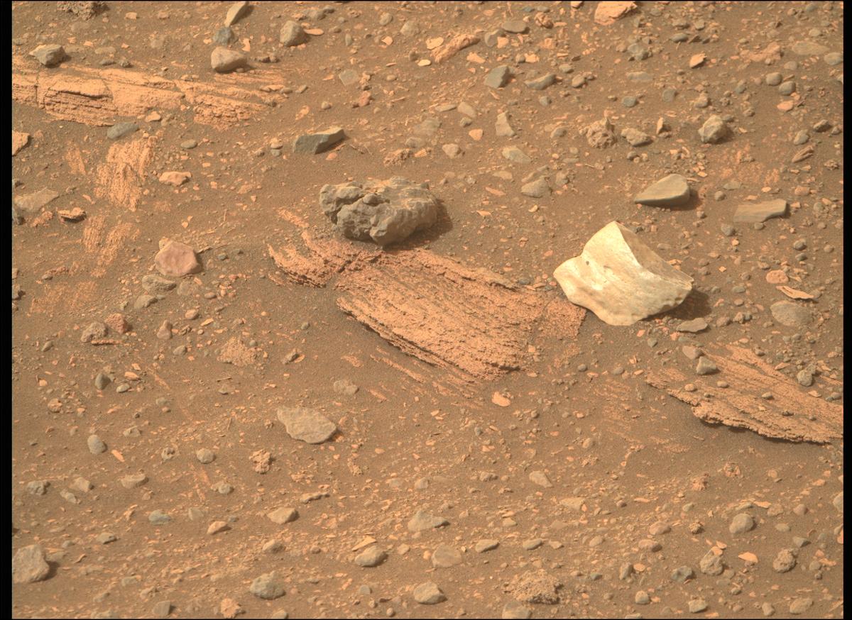 This image was taken by MCZ_RIGHT onboard NASA's Mars rover Perseverance on Sol 449