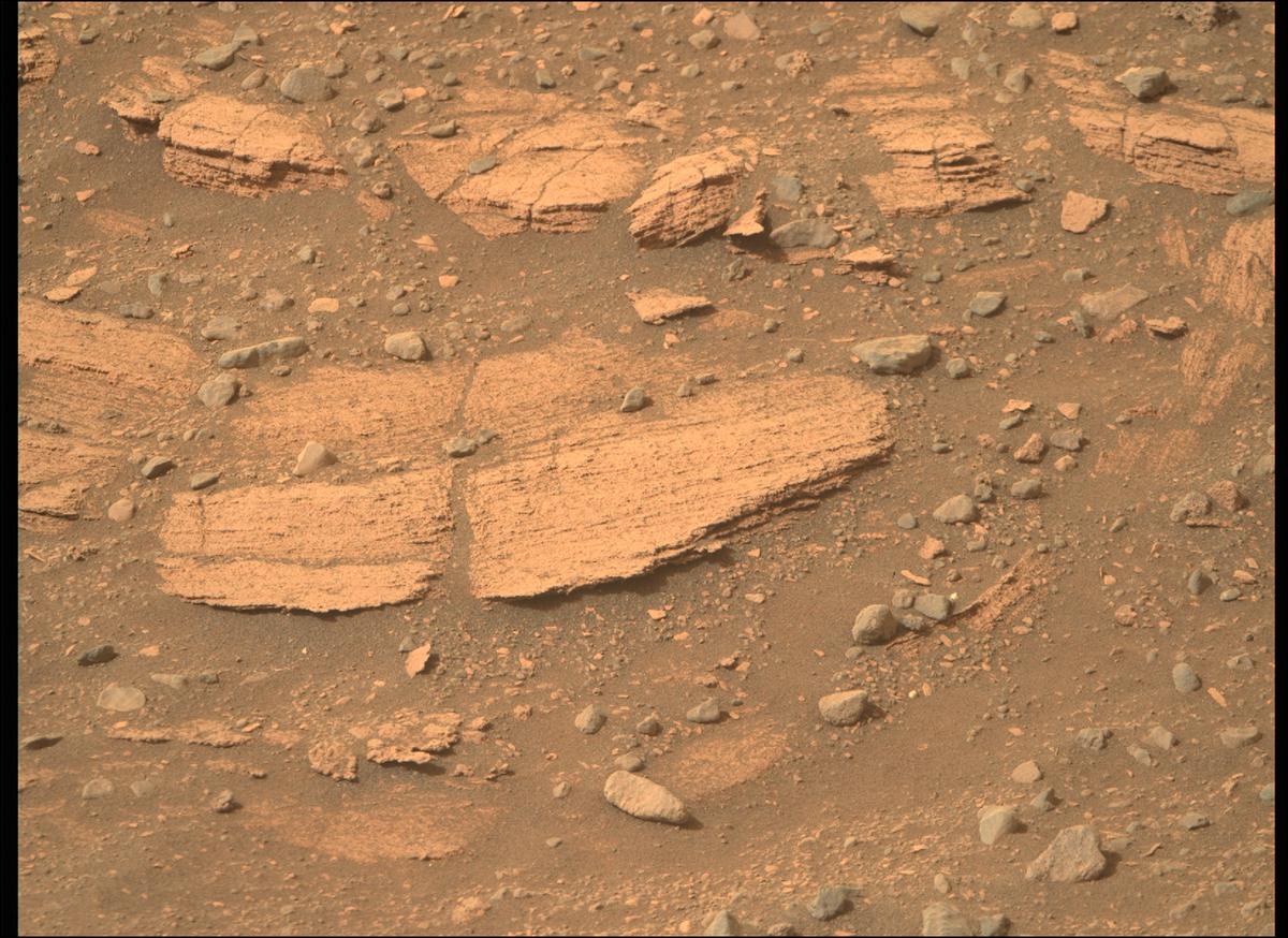 This image was taken by MCZ_RIGHT onboard NASA's Mars rover Perseverance on Sol 449