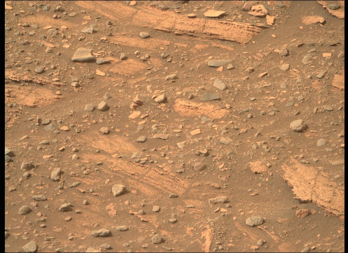 This image was taken by MCZ_RIGHT onboard NASA's Mars rover Perseverance on Sol 449