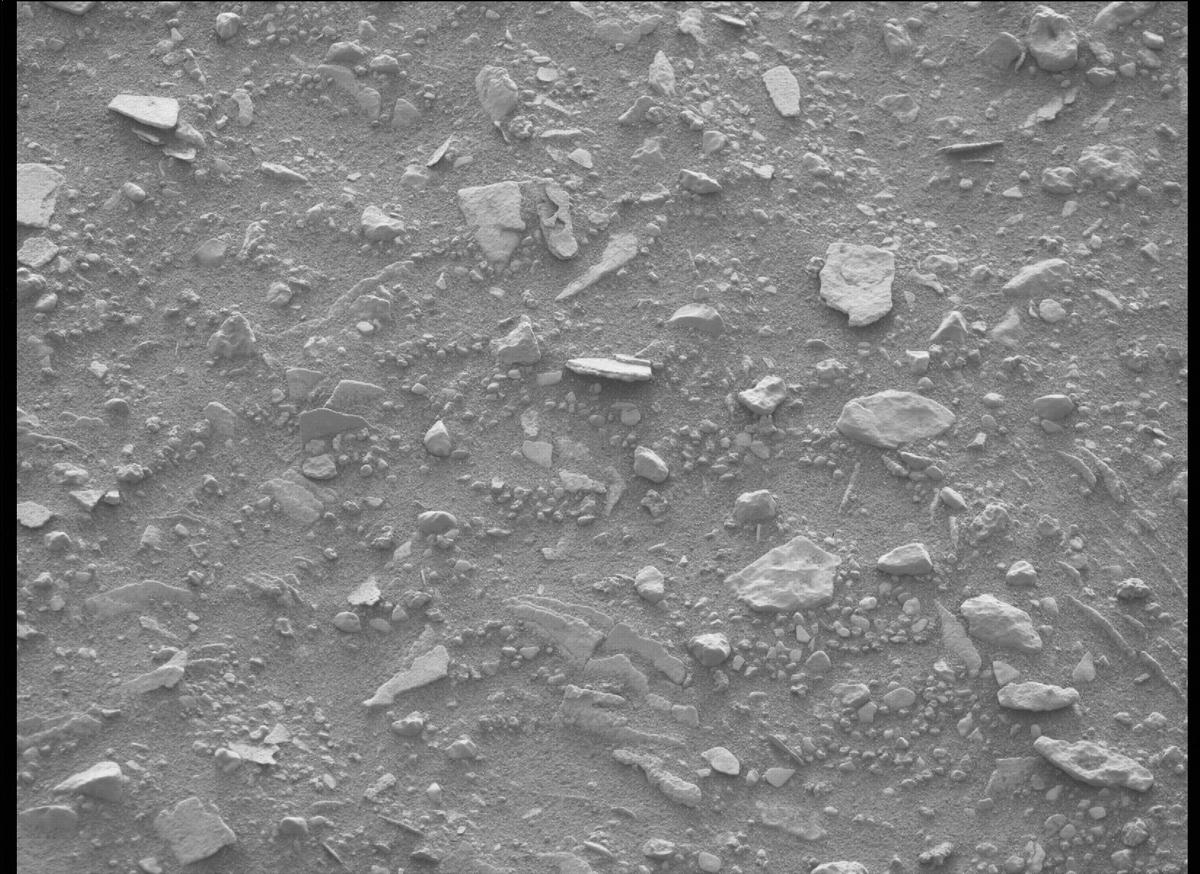 This image was taken by MCZ_RIGHT onboard NASA's Mars rover Perseverance on Sol 449