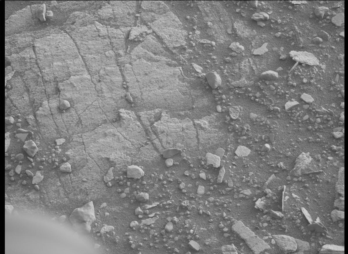 This image was taken by MCZ_RIGHT onboard NASA's Mars rover Perseverance on Sol 449