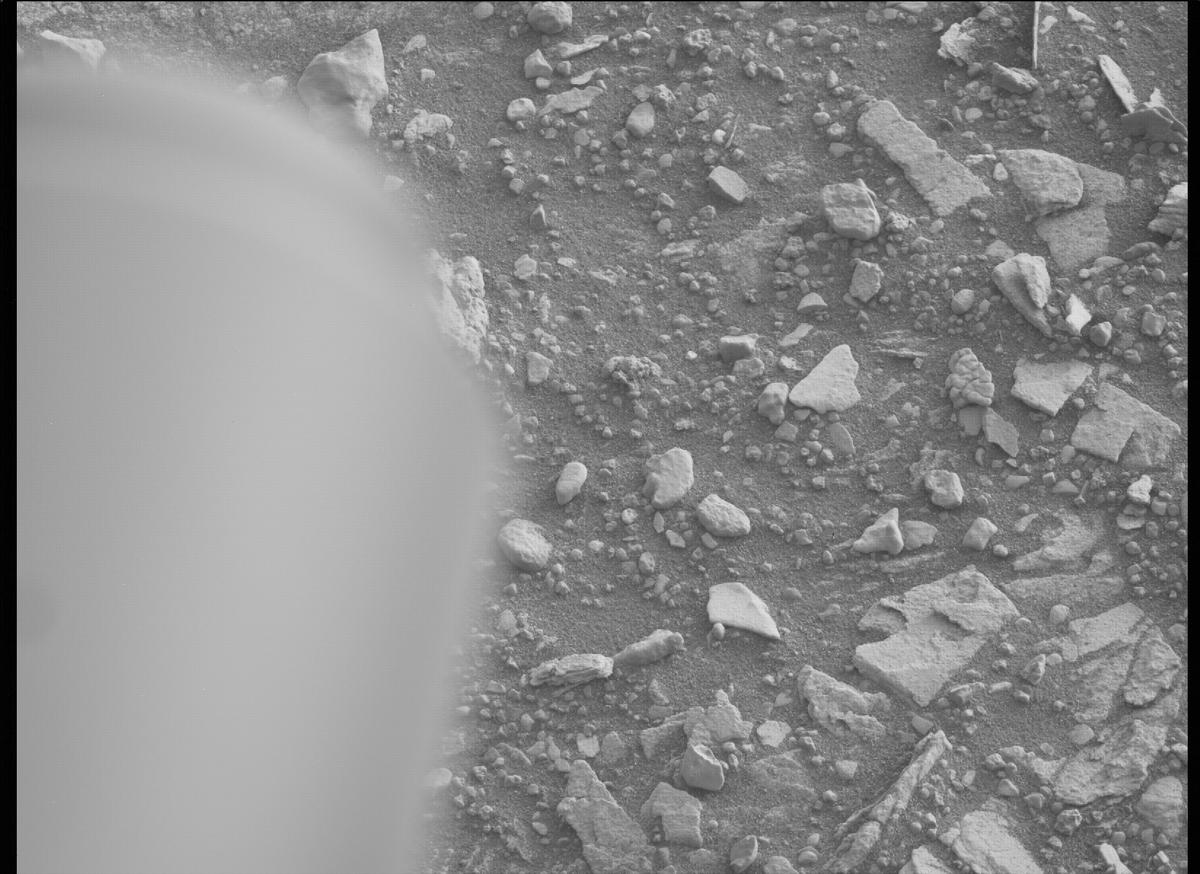 This image was taken by MCZ_RIGHT onboard NASA's Mars rover Perseverance on Sol 449