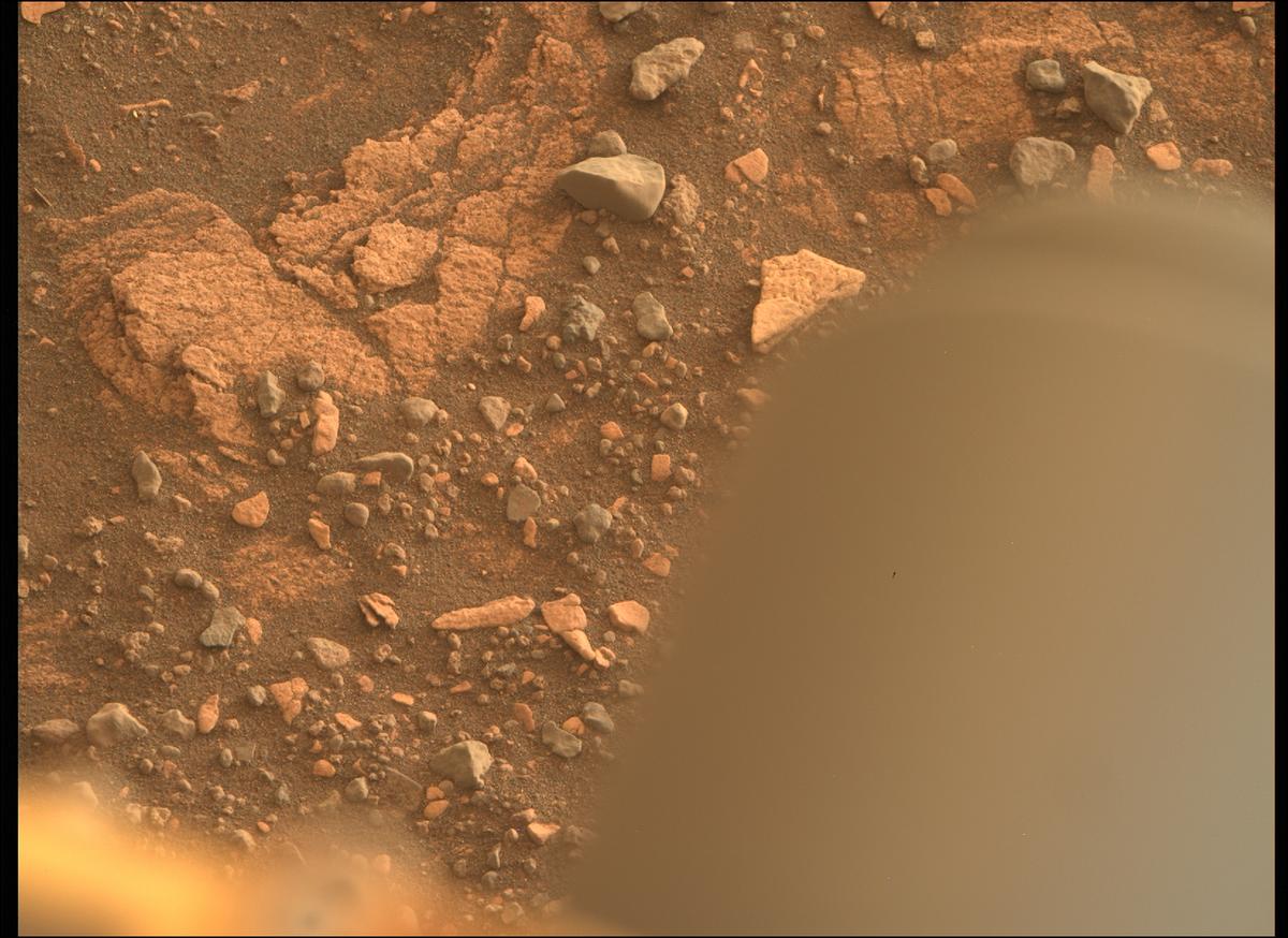 This image was taken by MCZ_RIGHT onboard NASA's Mars rover Perseverance on Sol 449