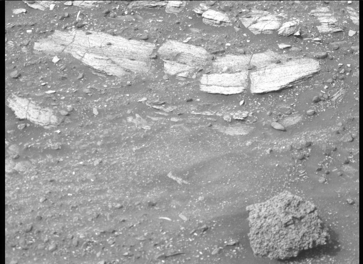 This image was taken by MCZ_RIGHT onboard NASA's Mars rover Perseverance on Sol 449
