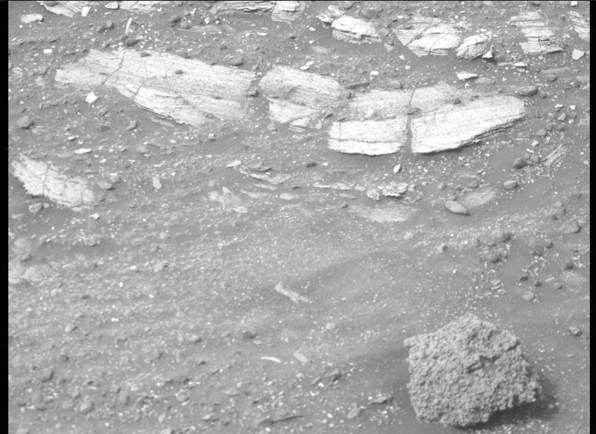 This image was taken by MCZ_RIGHT onboard NASA's Mars rover Perseverance on Sol 449