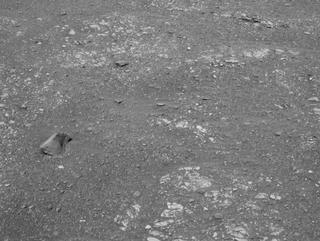 View image taken on Mars, Mars Perseverance Sol 450: Left Navigation Camera (Navcam)