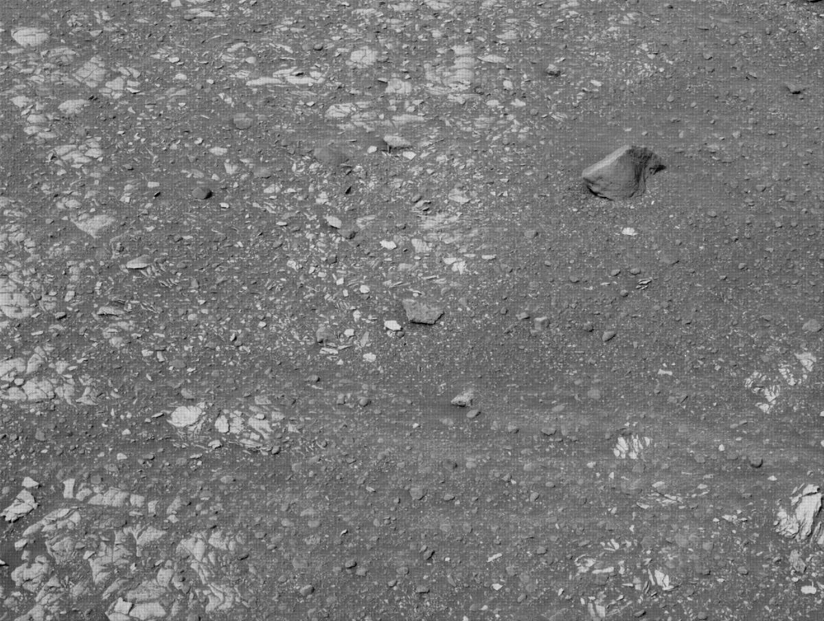 This image was taken by NAVCAM_LEFT onboard NASA's Mars rover Perseverance on Sol 450