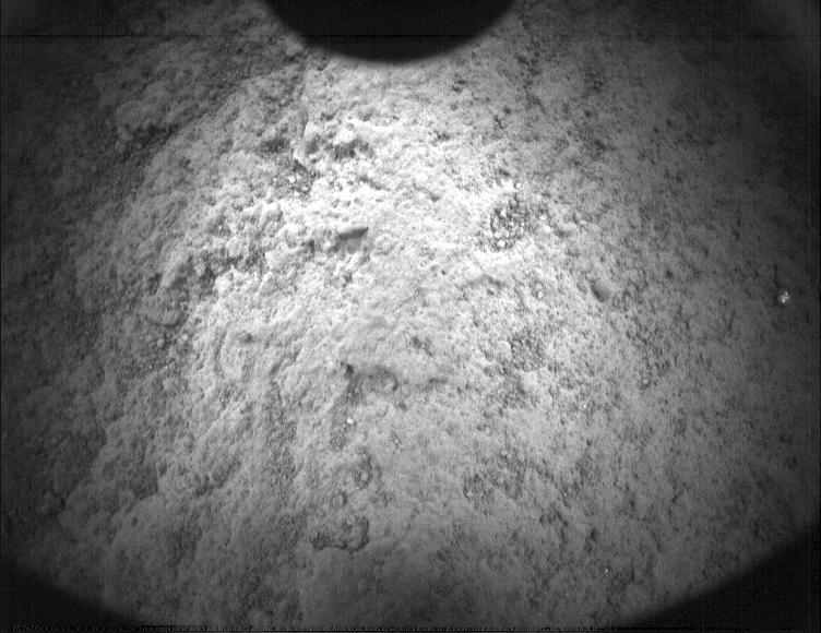 This image was taken by PIXL_MCC onboard NASA's Mars rover Perseverance on Sol 450