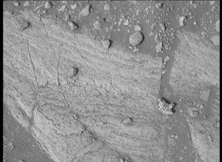 View image taken on Mars, Mars Perseverance Sol 450: WATSON Camera 