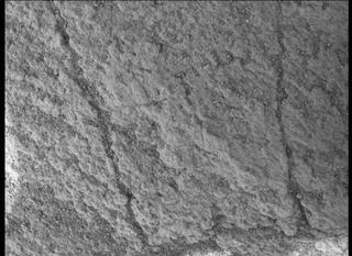 View image taken on Mars, Mars Perseverance Sol 450: WATSON Camera 