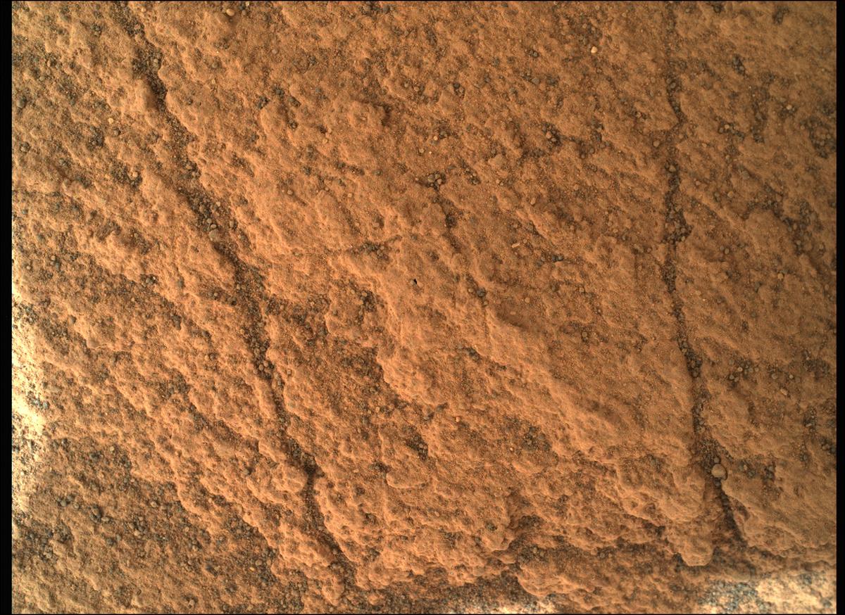 This image was taken by SHERLOC_WATSON onboard NASA's Mars rover Perseverance on Sol 450