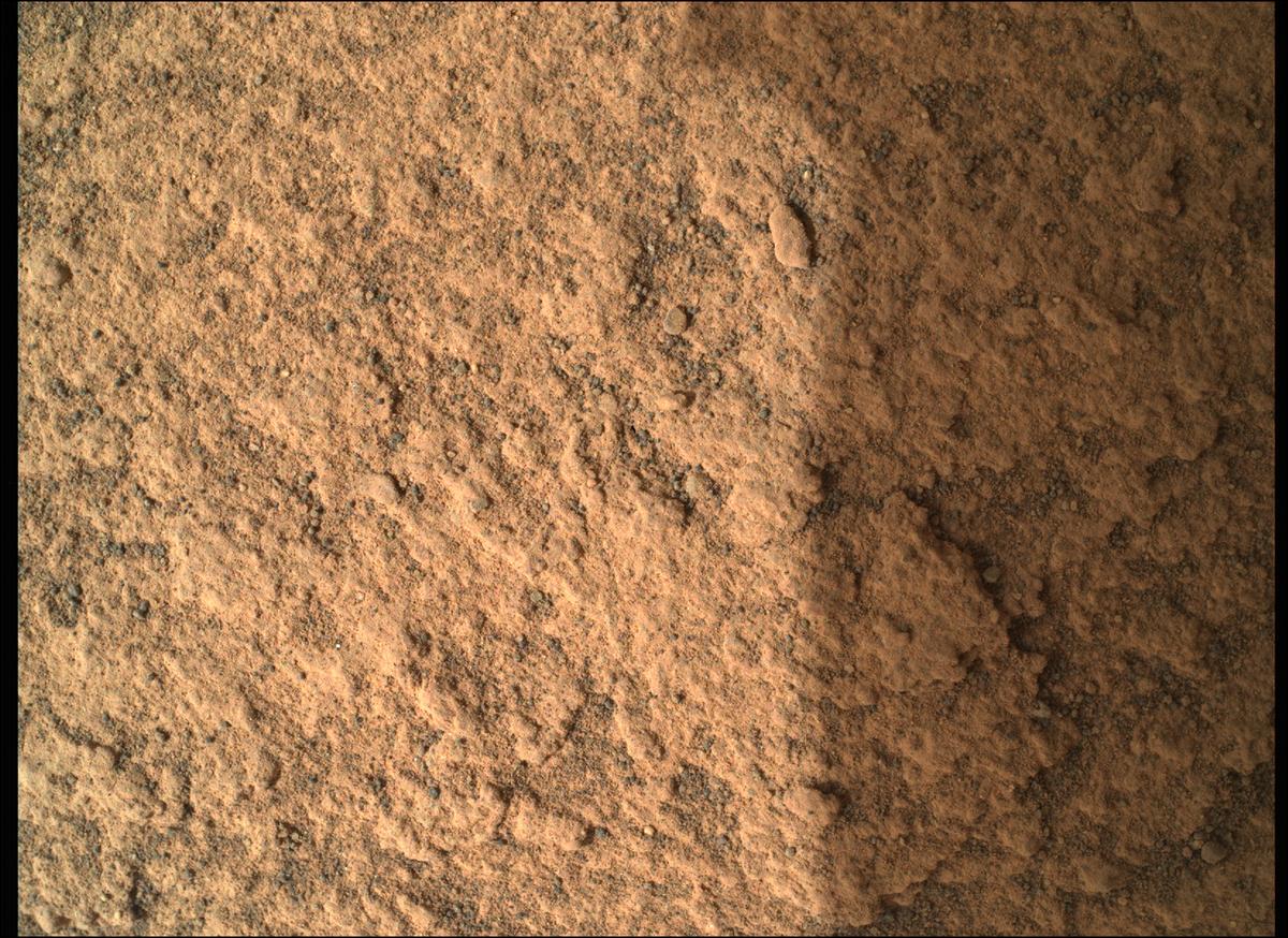 This image was taken by SHERLOC_WATSON onboard NASA's Mars rover Perseverance on Sol 450