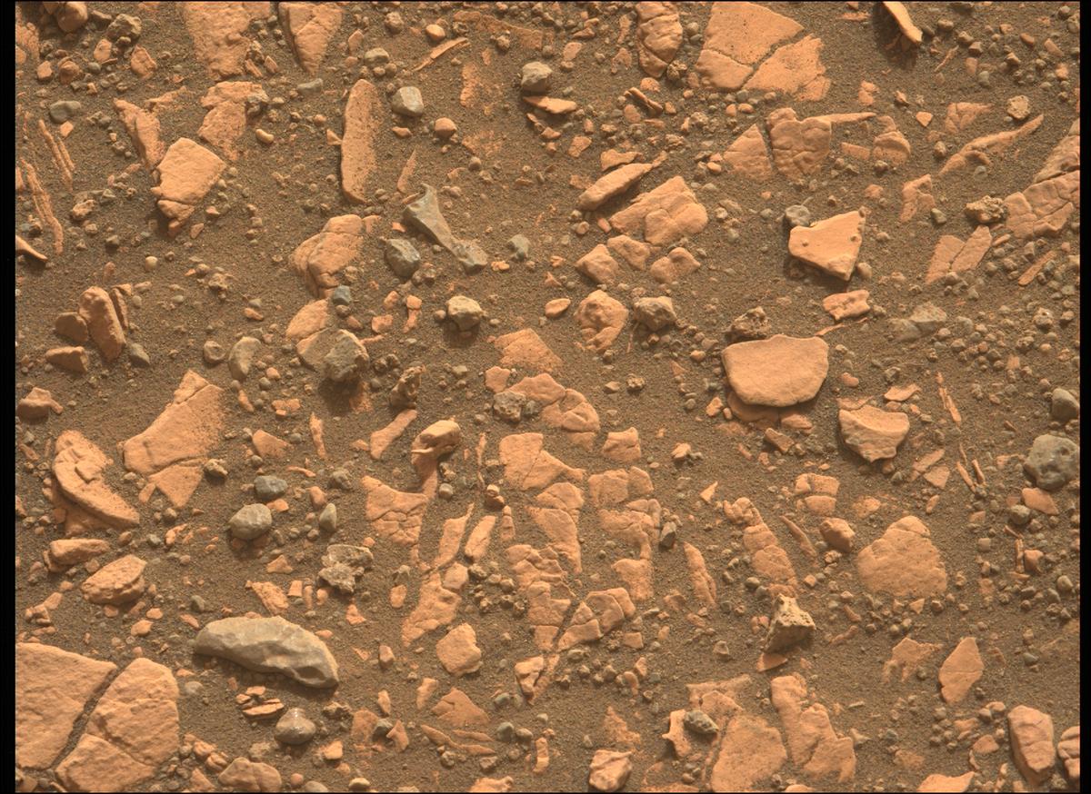 This image was taken by MCZ_LEFT onboard NASA's Mars rover Perseverance on Sol 451