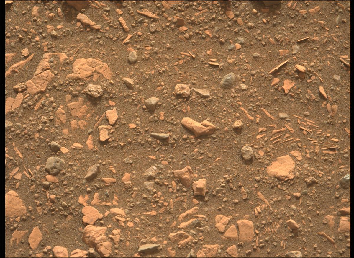 This image was taken by MCZ_LEFT onboard NASA's Mars rover Perseverance on Sol 451