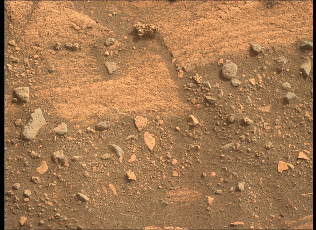 This image was taken by MCZ_LEFT onboard NASA's Mars rover Perseverance on Sol 451