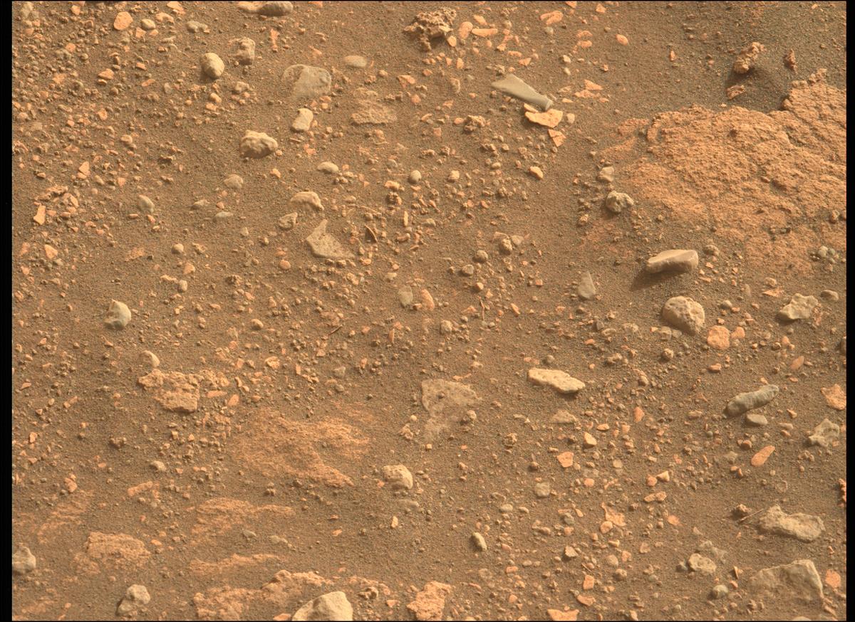 This image was taken by MCZ_LEFT onboard NASA's Mars rover Perseverance on Sol 451