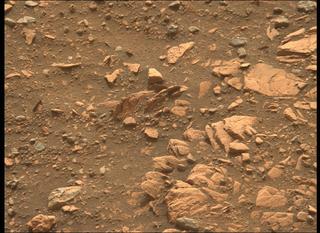 View image taken on Mars, Mars Perseverance Sol 451: Left Mastcam-Z Camera