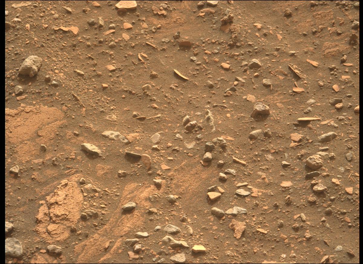 This image was taken by MCZ_LEFT onboard NASA's Mars rover Perseverance on Sol 451